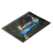 Eisvogel Notizblock (Linke Seite)