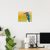 Eisvogel Poster (Heimbüro)