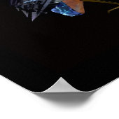 EISVOGEL POSTER (Ecke)