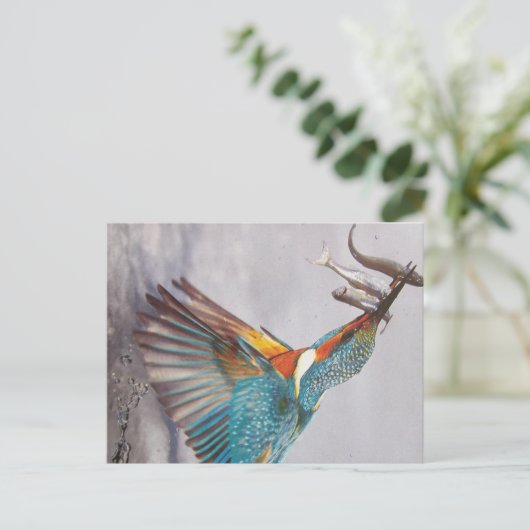 Eisvogel - Postkarte (Stehend Vorderseite)