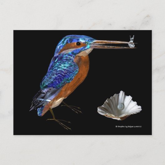 EISVOGEL POSTKARTE (Vorderseite)