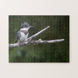 Eisvogel Puzzle