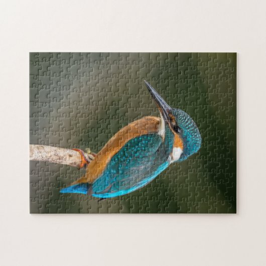 Eisvogel Puzzle (Horizontal)