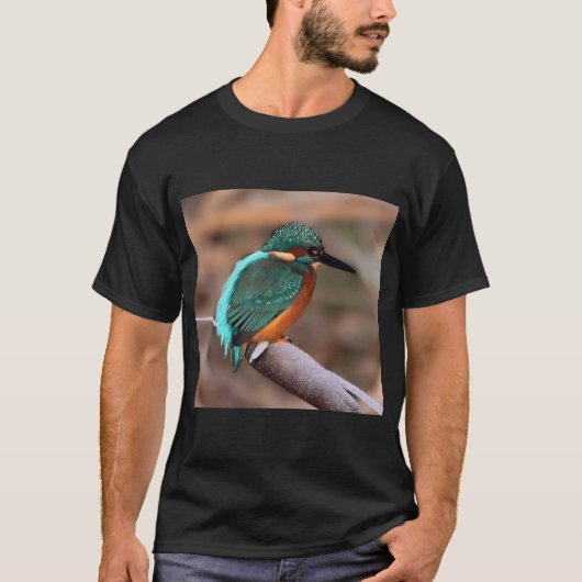 Eisvogel T-Shirt (Vorderseite)