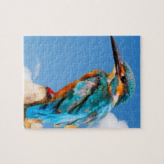 Eisvogel-Vogel Puzzle (Horizontal)