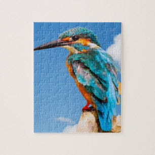Eisvogel-Vogel Puzzle