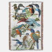 Eisvogel-Vogel-Tier-Teich-Wurfs-Decke Decke (Vorderseite Vertikal)