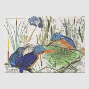 Eisvogel-Vögelcattail-Iris-Blumen-Seidenpapier Seidenpapier