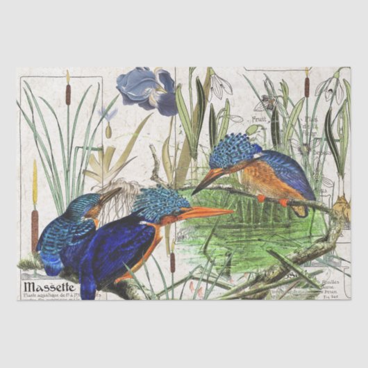 Eisvogel-Vögelcattail-Iris-Blumen-Seidenpapier Seidenpapier (Vorderseite)
