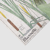 Eisvogel-Vogelcattail-Teich-Tier-Seidenpapier Seidenpapier (Detail)