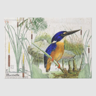 Eisvogel-Vogelcattail-Teich-Tier-Seidenpapier Seidenpapier