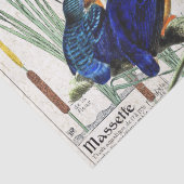 Eisvogel-Vogelcattail-Teich-Tier-Seidenpapier Seidenpapier (Detail)
