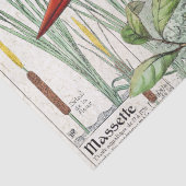 Eisvogel-Vogelcattail-Teich-Tier-Seidenpapier Seidenpapier (Detail)