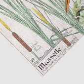 Eisvogel-Vogelcattail-Teich-Tier-Seidenpapier Seidenpapier (Detail)
