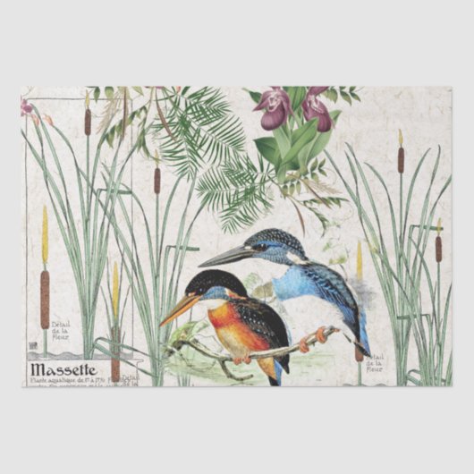 Eisvogel-Vogelcattail-Teich-Tier-Seidenpapier Seidenpapier (Vorderseite)