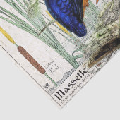 Eisvogel-Vogelcattail-Teich-Tier-Seidenpapier Seidenpapier (Detail)