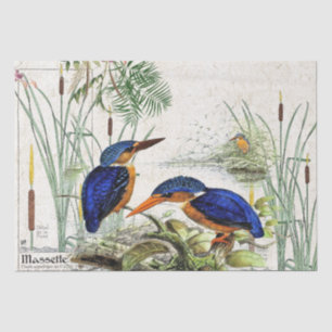 Eisvogel-Vogelcattail-Teich-Tier-Seidenpapier Seidenpapier