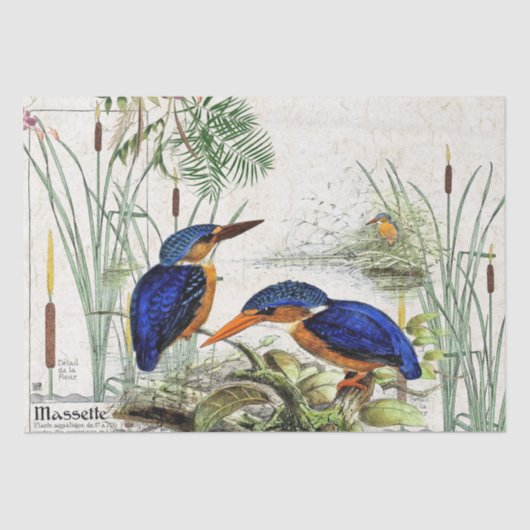 Eisvogel-Vogelcattail-Teich-Tier-Seidenpapier Seidenpapier (Vorderseite)