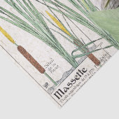 Eisvogel-Vogelcattail-Teich-Tier-Seidenpapier Seidenpapier (Detail)