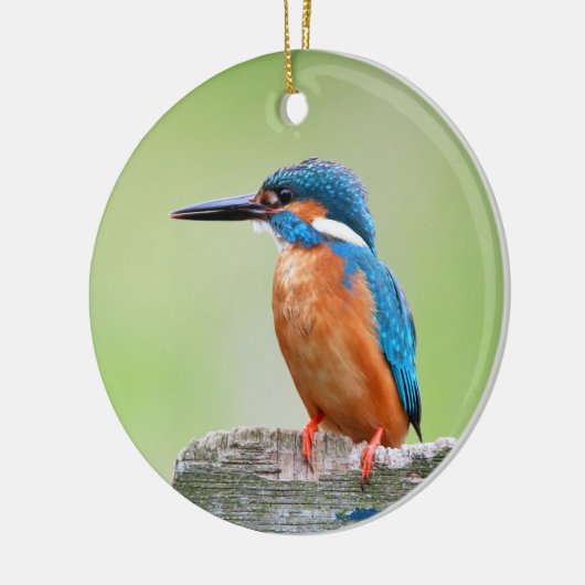 Eisvogelvogel Keramik Ornament (Links)