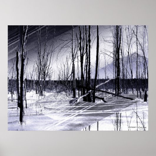 Eiswelt Poster (Vorne)