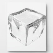 Eiswürfel Fotoplatte (Vorderseite)