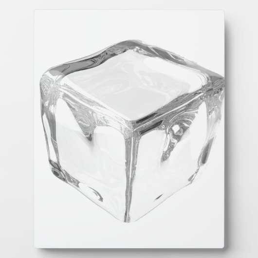 Eiswürfel Fotoplatte (Vorderseite)