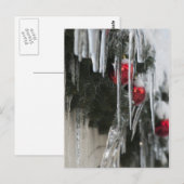 Eiszapfen Postkarte (Vorne/Hinten)