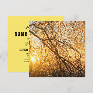 Eiszapfenäste bei Sonnenuntergang Einladung