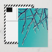 Eiszapfenäste Postkarte (Vorne/Hinten)