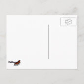 Eiszweige Winternaturfotografie Postkarte (Rückseite)