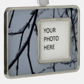 Eiszweige Winternaturfotografie Rahmen-Ornament Silber (Rechts)