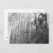 Eiszyklen Postkarte (Vorne/Hinten)