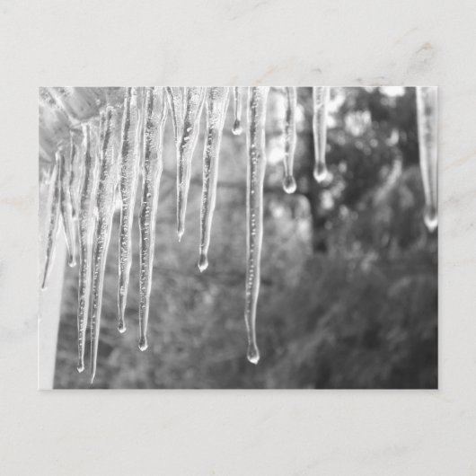 Eiszyklen Postkarte (Vorderseite)