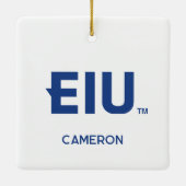 EIU-Blockbuchstabe Keramikornament (Rückseite)