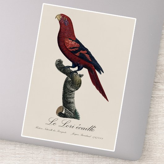 Ekaille von Le Lori Aufkleber