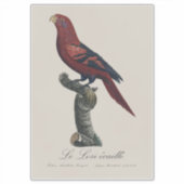 Ekaille von Le Lori Aufkleber (Vorderseite)