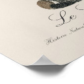 Ekaille von Le Lori Poster (Ecke)