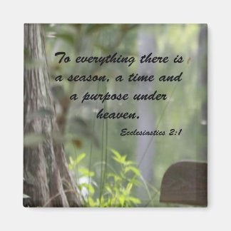 Ekclesiastik 2:1 magnet