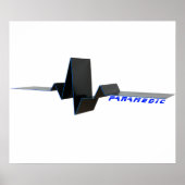 EKG Paramedic Poster (Vorne)