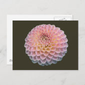 Eklat Postkarte (Vorne/Hinten)