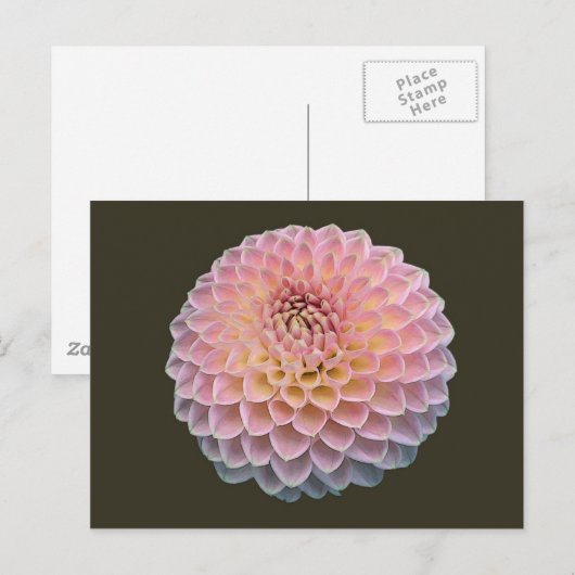 Eklat Postkarte (Vorne/Hinten)