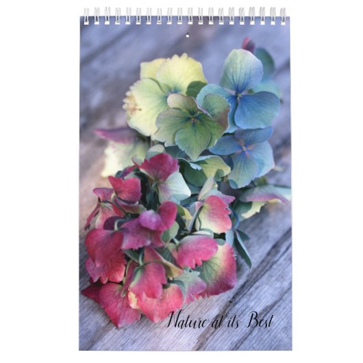 Eklektischer Naturkalender  Kalender (Titelbild)