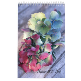 Eklektischer Naturkalender  Kalender