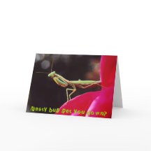 Eklige Wanze erhalten Sie unten?