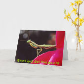 Eklige Wanze erhalten Sie unten? Karte (Gelbe Blume)