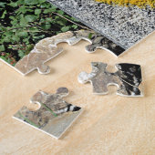 El Camino de Santiago de Compostela, Spanien, Musc Puzzle (Seite)