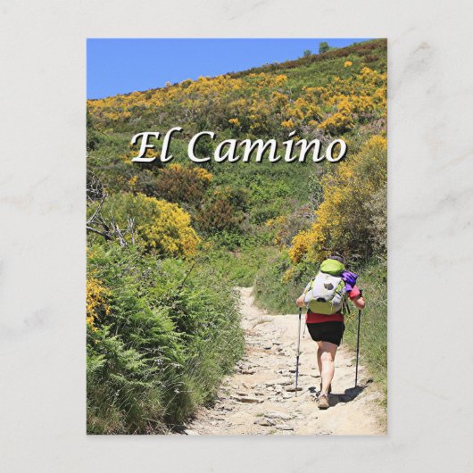 El Camino de Santiago de Compostela, Spanien, Pfad Postkarte (Vorderseite)