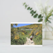 El Camino de Santiago de Compostela, Spanien, Pfad Postkarte (Stehend Vorderseite)