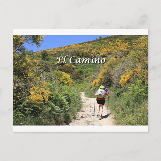 El Camino de Santiago de Compostela, Spanien, Pfad Postkarte (Vorderseite)